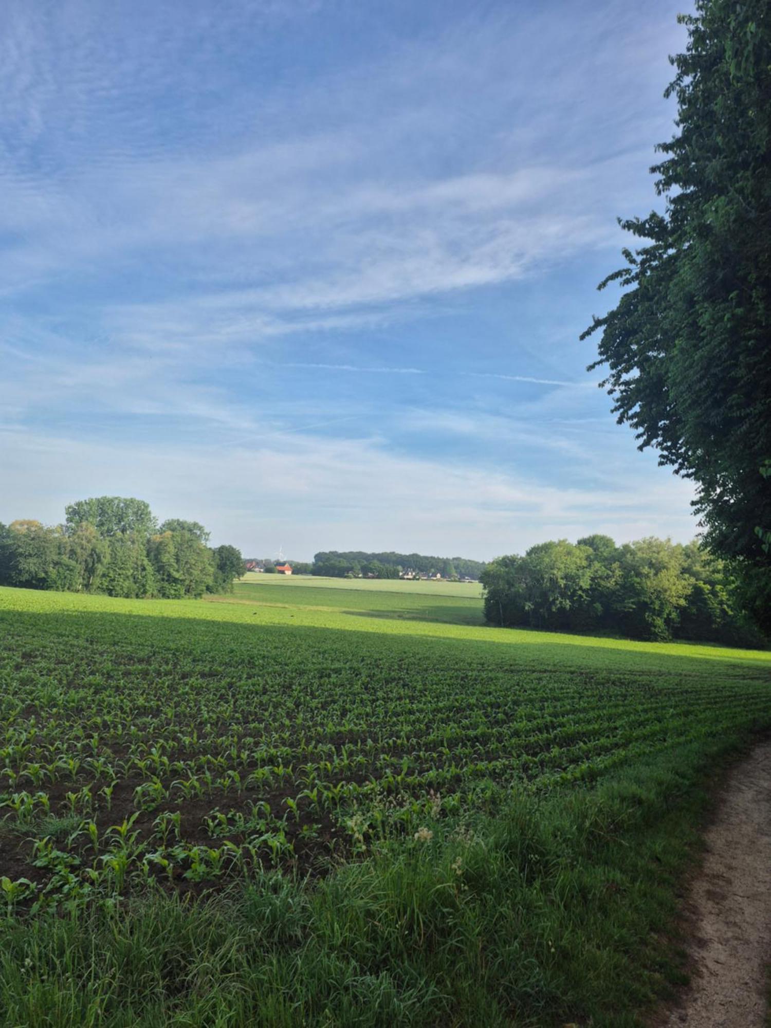 Appartamento Bed Bentheim Bad Bentheim Esterno foto